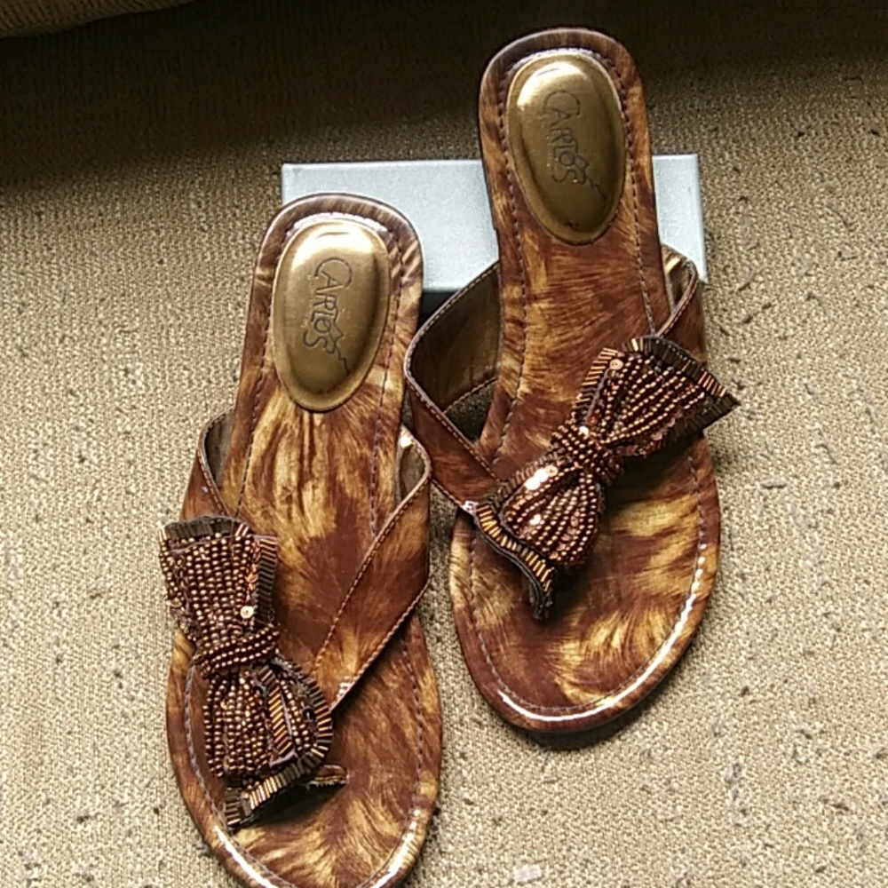 Carlos Santana Rhapsody 